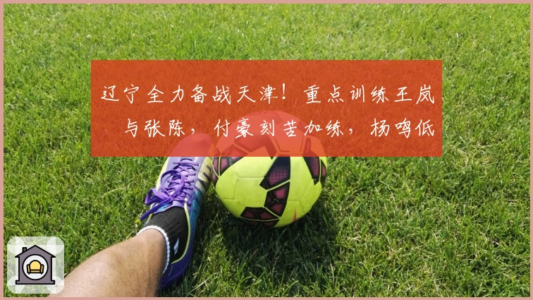 辽宁全力备战天津！重点训练王岚嵚与张陈，付豪刻苦加练，杨鸣低调展望