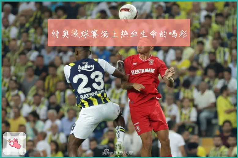 特奥滚球赛场上热血生命的喝彩
